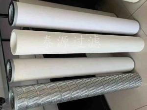 【PECO派瑞天然氣濾芯】